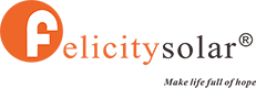 Felicity ESS logo